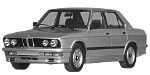 BMW E28 C251E Fault Code