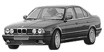 BMW E34 C251E Fault Code